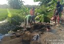 Proyek Pembangunan Plengsengan AFV Kedungpeluk Desa Kedungbanteg Diduga Tak Sesuai RAB ,PUBM SDA Kab Sidoarjo Tutup Mulut