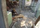 Proyek REHAB BERAT SDN SAWOTRATAP 2 Diduga Asal Jadi, PT HAKIKAT KARYA INDONESIA Abaikan K3, Pelaksana Bungkam Saat Dikonfirmasi