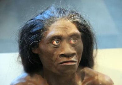 Jejak Hobbit Flores, Terhapus oleh Homo Sapiens dan Alam