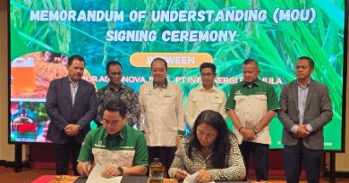 Bobibos di Timor Leste Siap 75 Persen