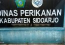 Dinas Perikanan Sidoarjo Banyak Proyek PL, Tak Ada Tender