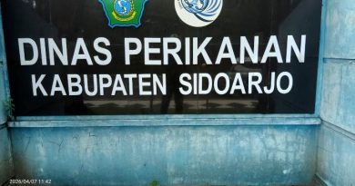 Dinas Perikanan Sidoarjo Banyak Proyek PL, Tak Ada Tender