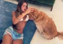 World Cup 2026: Fans Asal Brasil Viral, Menarik Perhatian dengan Penampilan Bikini