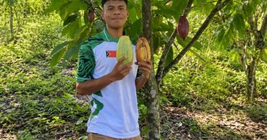 Transformasi Budidaya Kakao di Timosr-LeTte