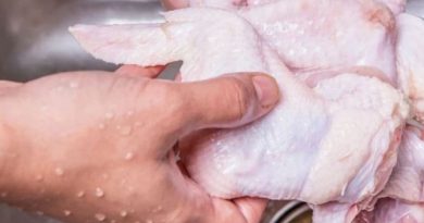 Alasan Mengapa Daging Ayam Mentah Jangan Pernah Dicuci