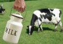 Kekurangan Zat Besi Mengintai Anak yang Terlalu Banyak Minum Susu Sapi