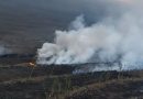 Langit Dili Menguning, Timor Leste Resmi Ajukan Laporan Kabut Asap Lintas Batas ke ASEAN